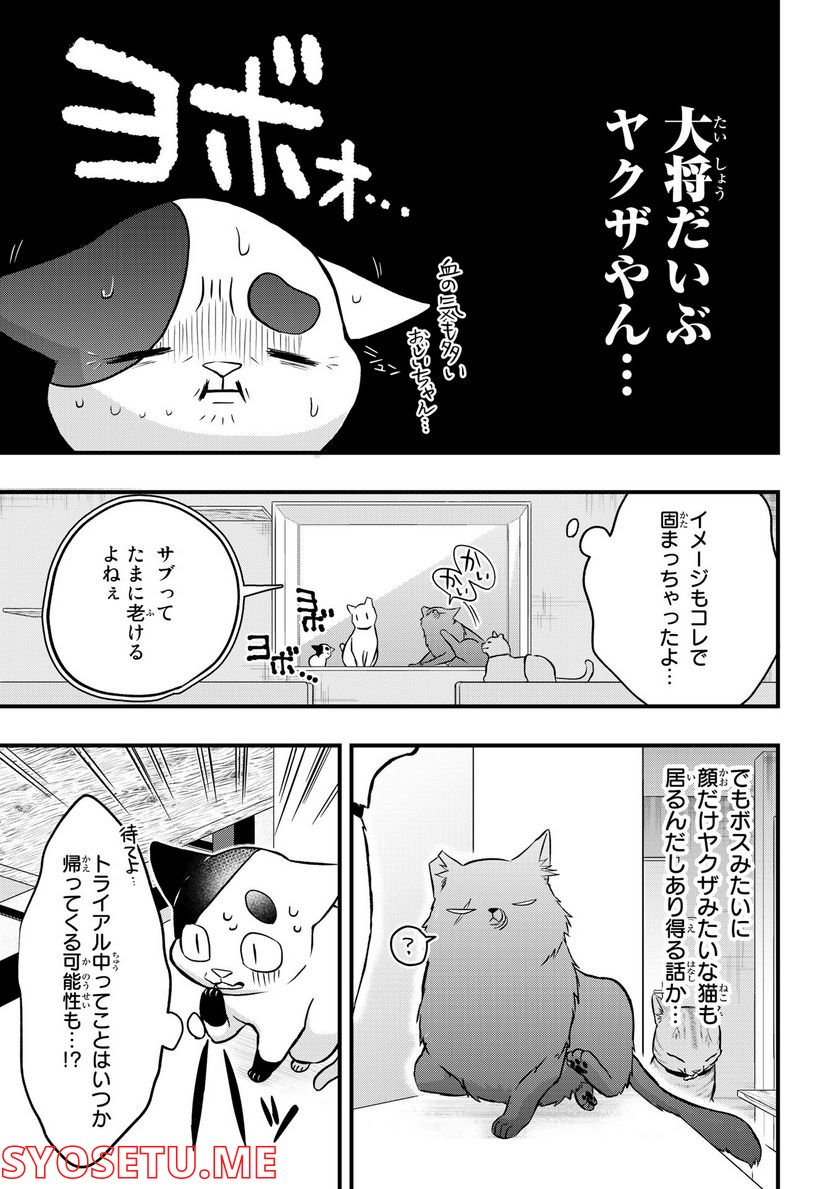 拾われ子猫と元ヤクザ 第20話 - Page 7