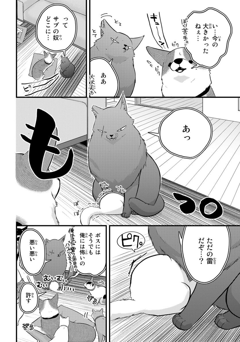 拾われ子猫と元ヤクザ 第40話 - Page 2