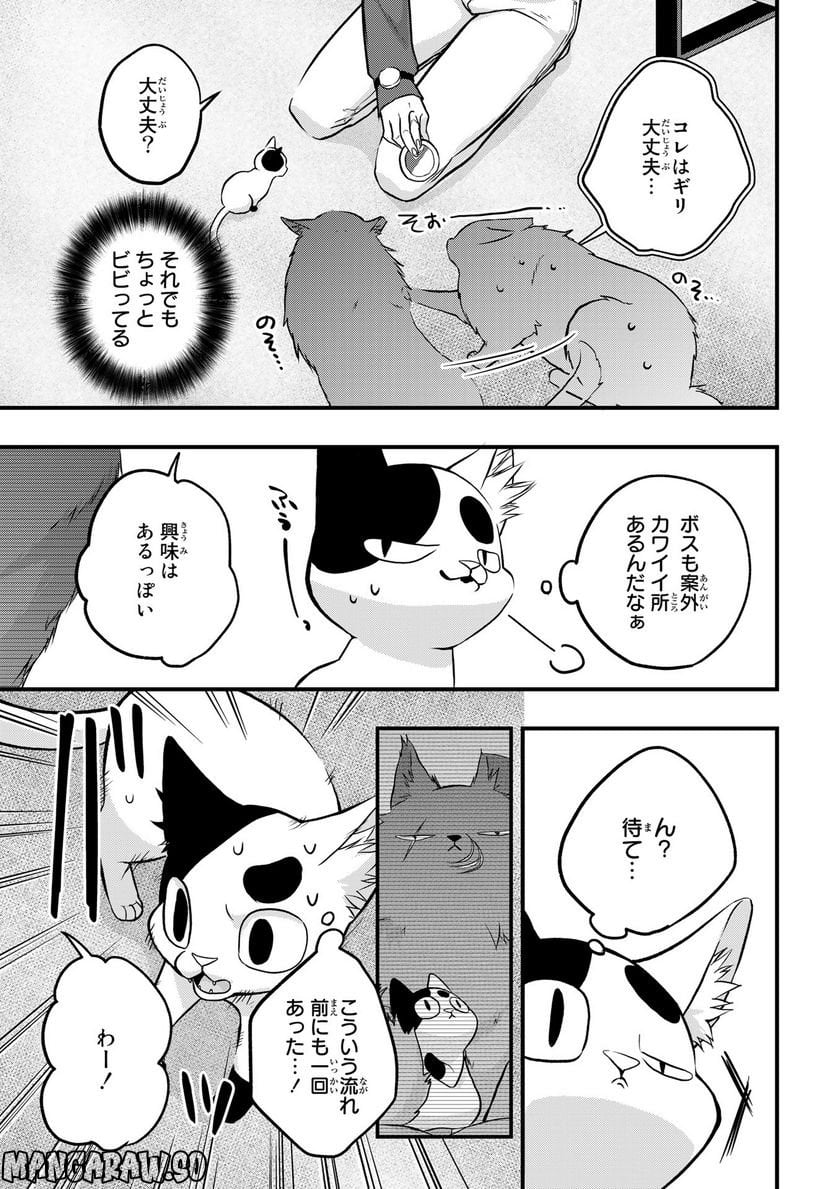 拾われ子猫と元ヤクザ 第29話 - Page 11