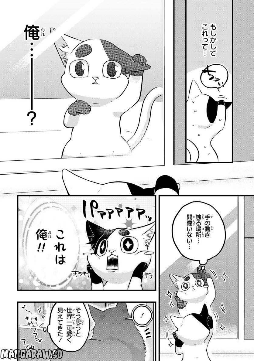 拾われ子猫と元ヤクザ 第29話 - Page 4