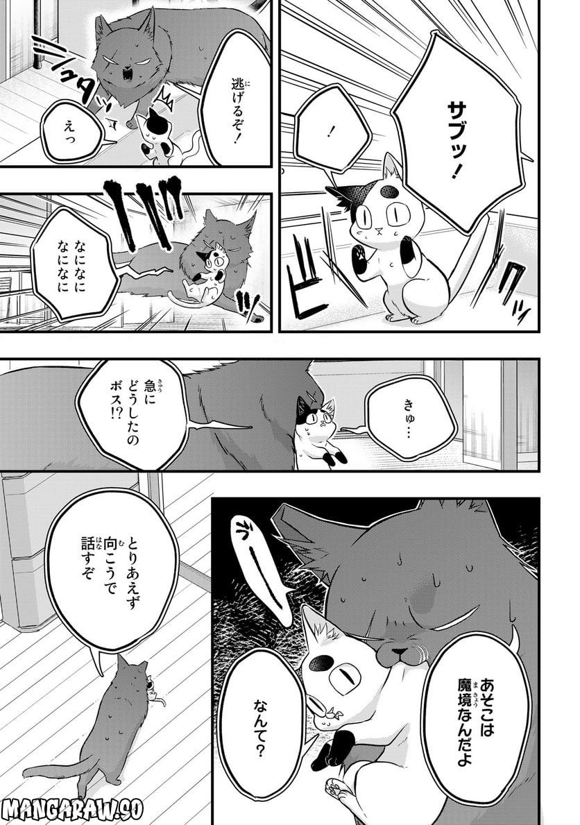 拾われ子猫と元ヤクザ 第29話 - Page 5