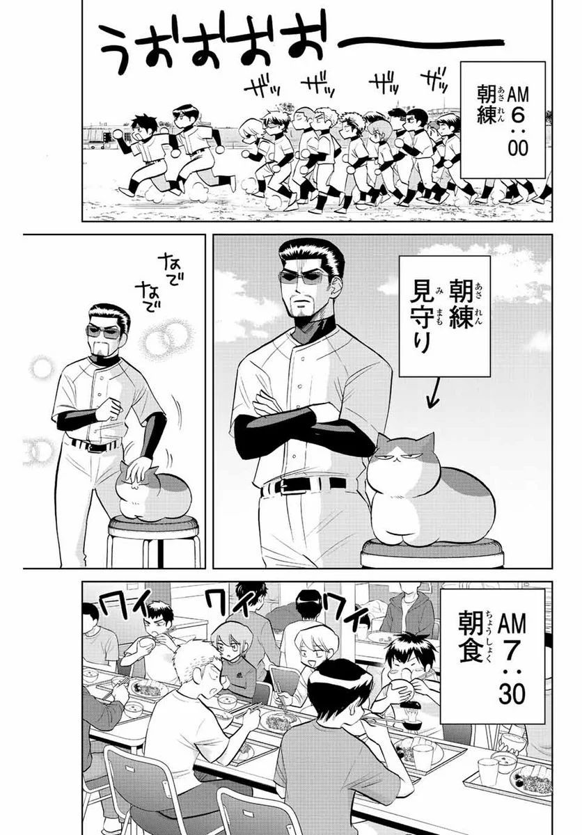 ダイヤのC!! 青道高校野球部猫日誌 第39話 - Page 3