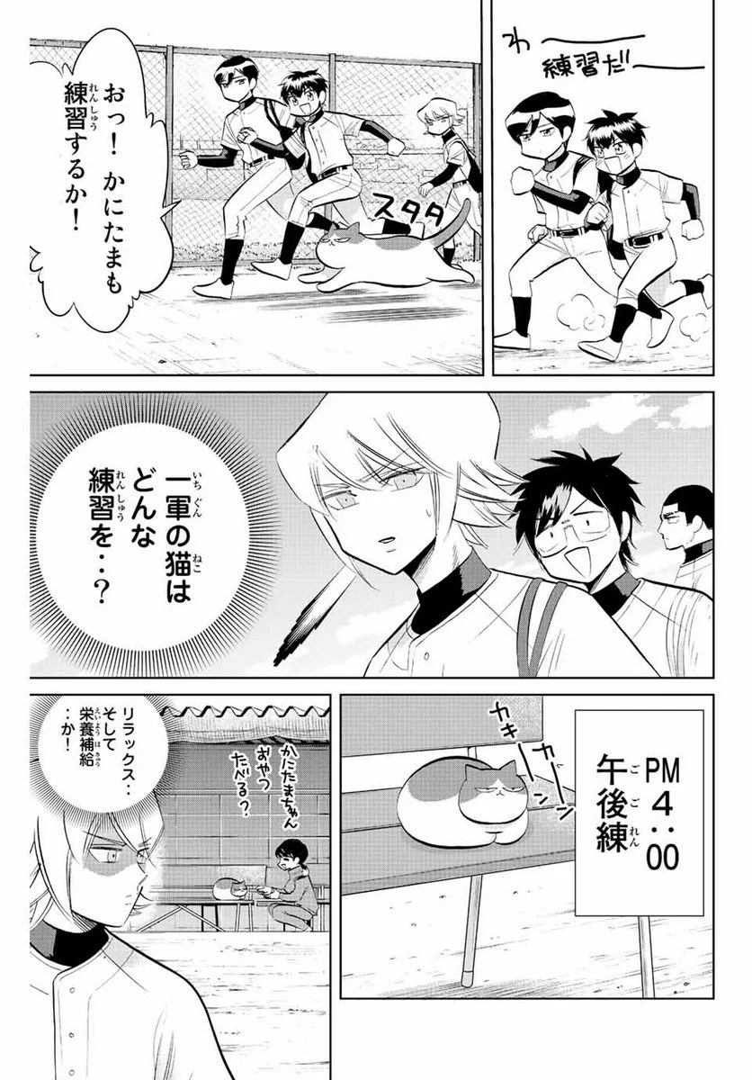 ダイヤのC!! 青道高校野球部猫日誌 第39話 - Page 7