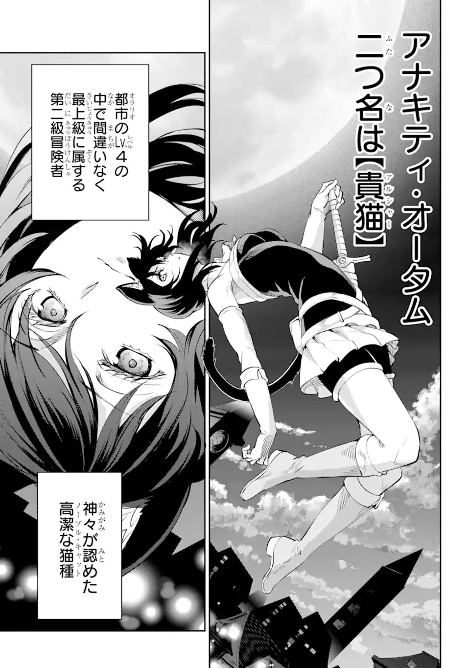 ダンジョンに出会いを求めるのは間違っているだろうか外伝ソード・オラトリア - 第88.1話 - Page 13