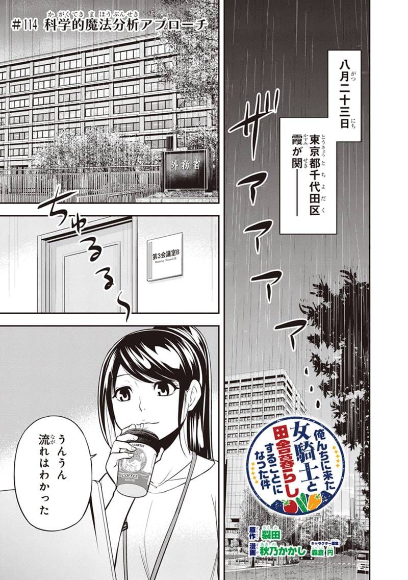 俺んちに来た女騎士と田舎暮らしすることになった件 第114話 - Page 1