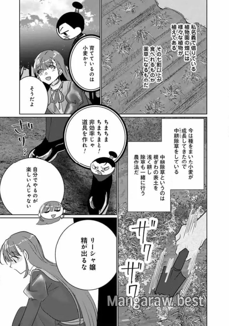 織田信長に憑依された悪役令嬢は天下統一したくない! - 第6.2話 - Page 5