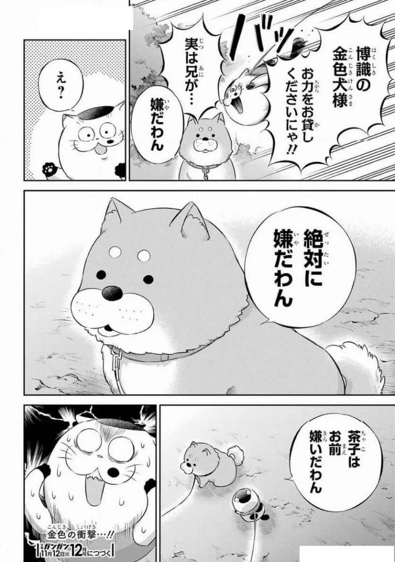 おじさまと猫 第117話 - Page 22