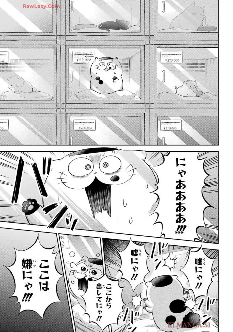 おじさまと猫 - 第116話 - Page 11