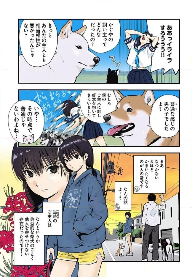 世界の終わりに柴犬と 第48話 - Page 7