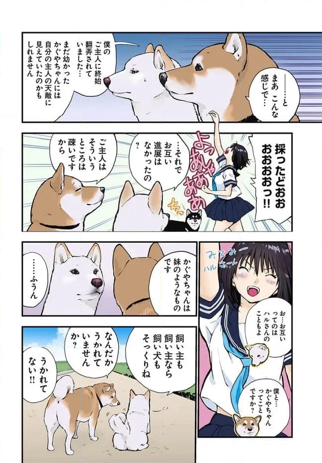 世界の終わりに柴犬と 第48話 - Page 10