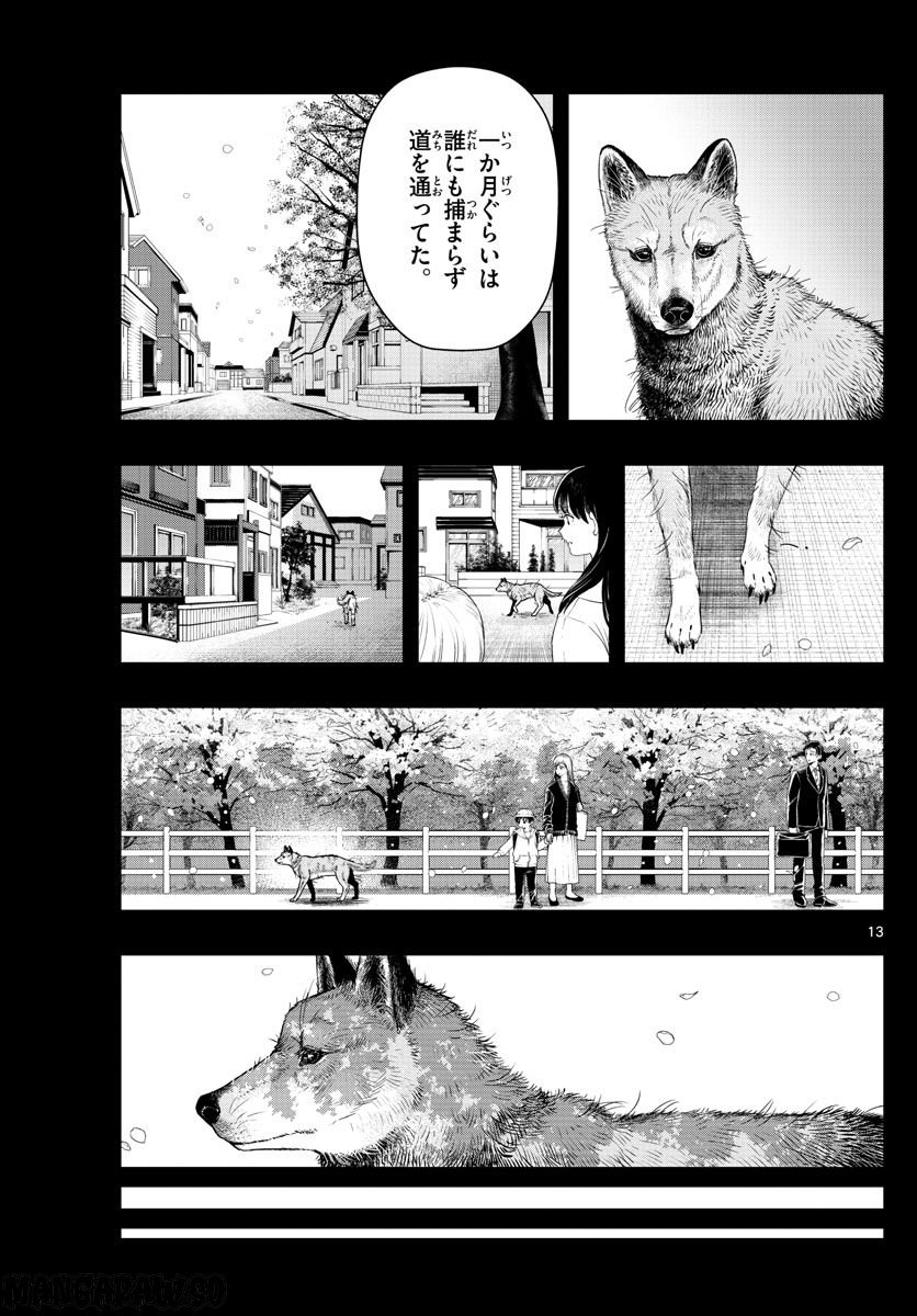 ラストカルテ　―法獣医学者 当麻健匠の記憶― 第47話 - Page 13