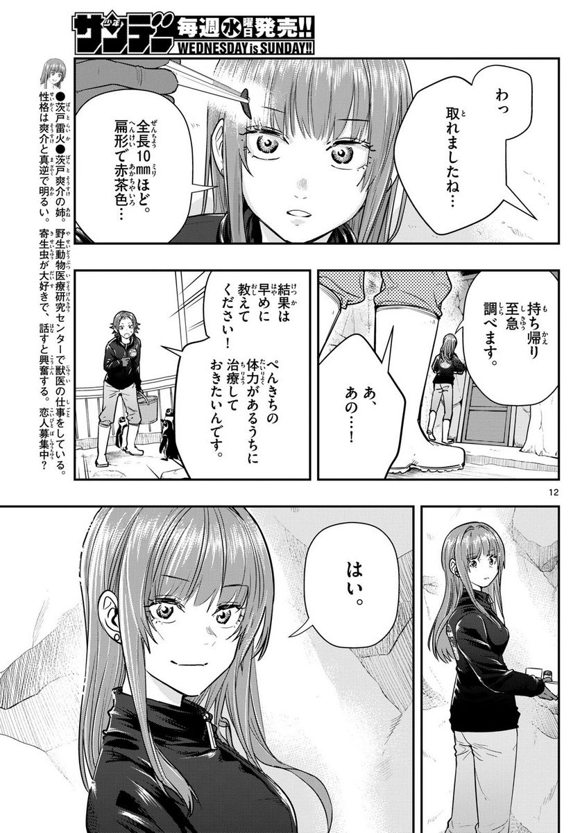 ラストカルテ　―法獣医学者 当麻健匠の記憶― 第62話 - Page 13