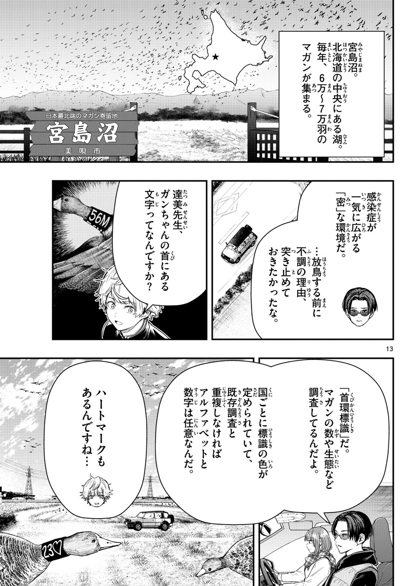 ラストカルテ　―法獣医学者 当麻健匠の記憶― 第9話 - Page 13