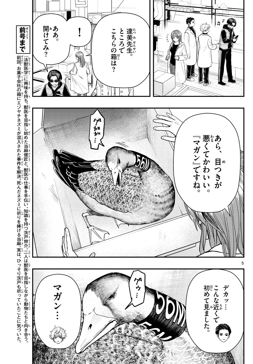 ラストカルテ　―法獣医学者 当麻健匠の記憶― 第9話 - Page 5