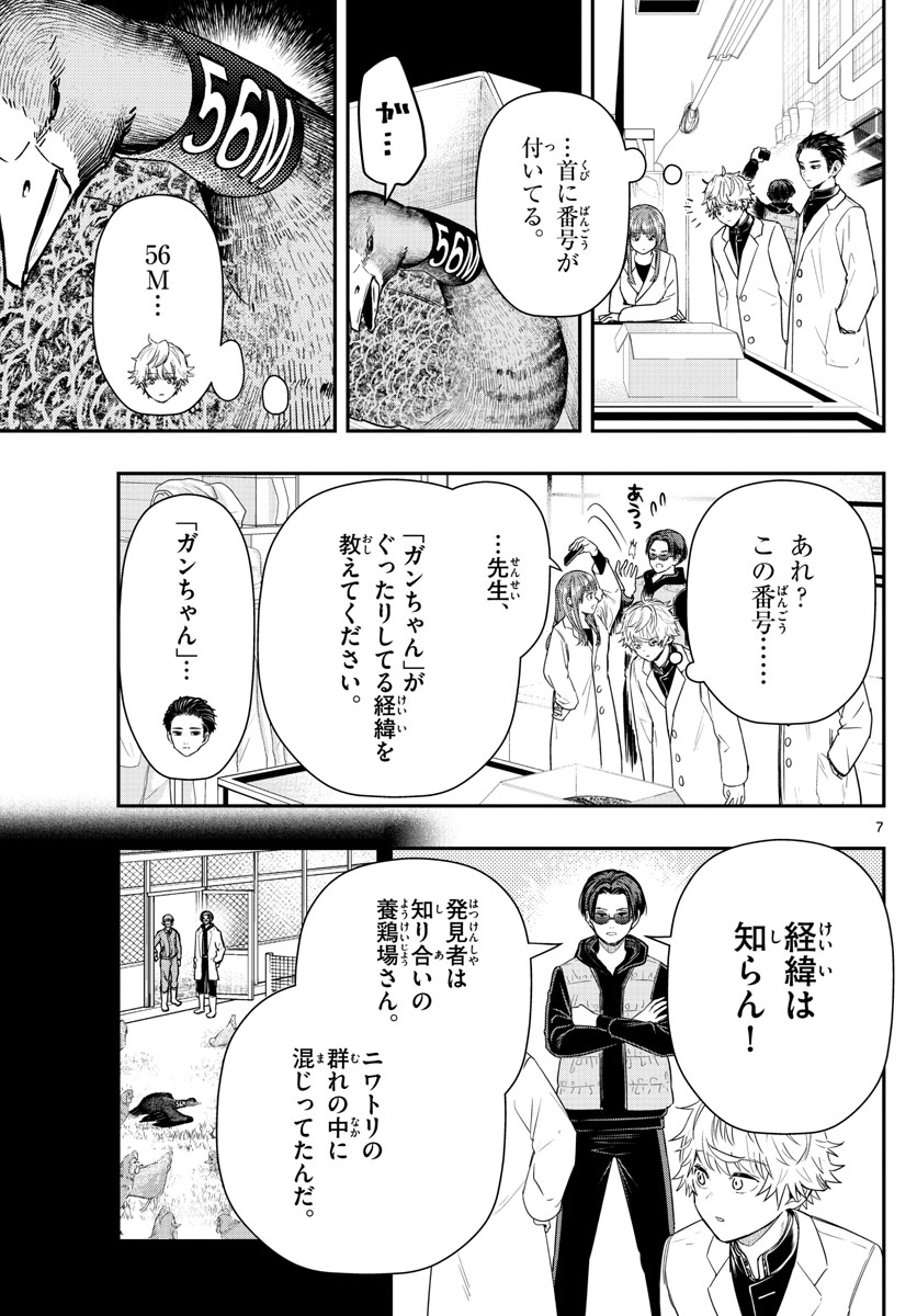 ラストカルテ　―法獣医学者 当麻健匠の記憶― 第9話 - Page 7