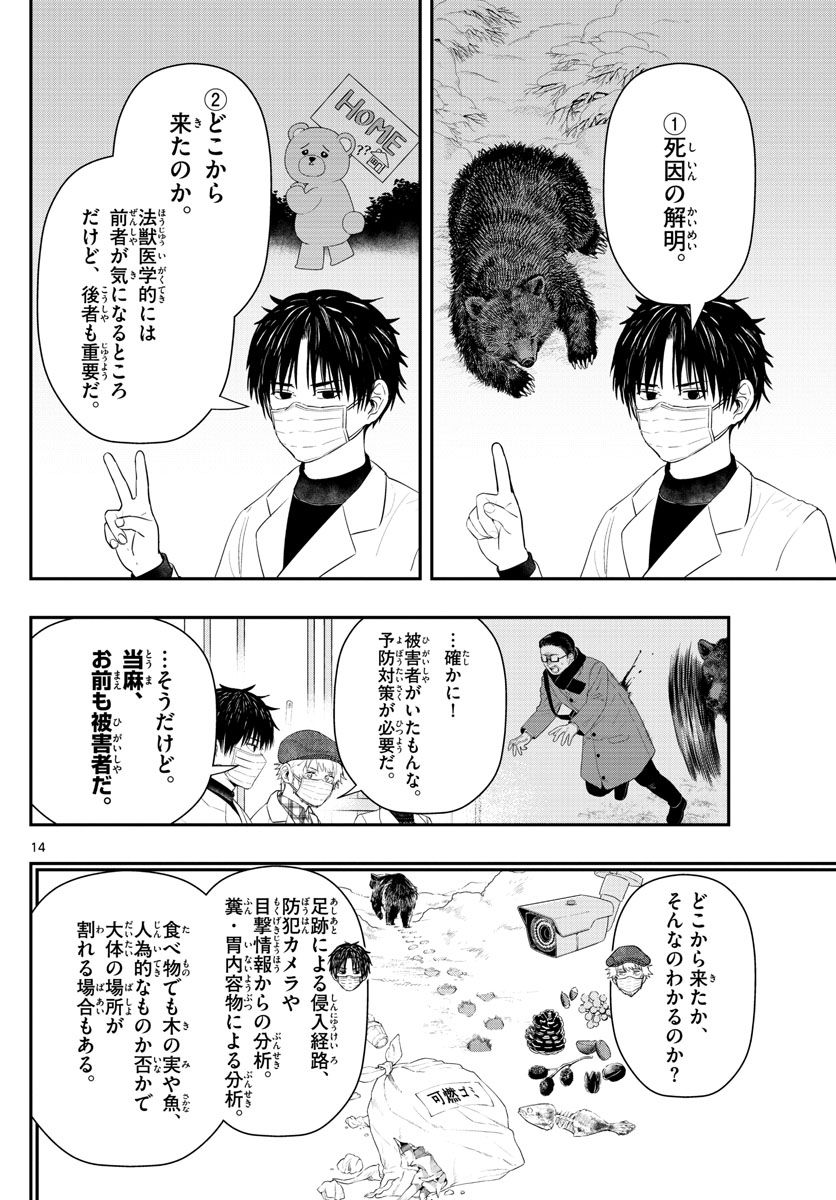 ラストカルテ　―法獣医学者 当麻健匠の記憶― 第27話 - Page 14