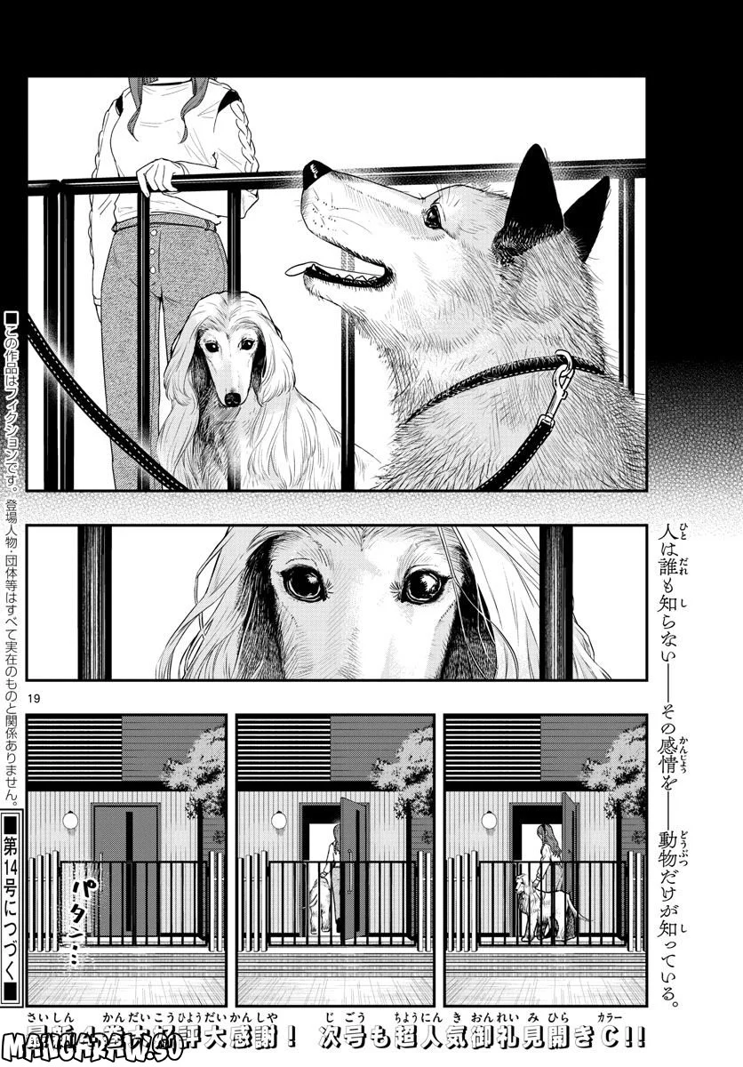 ラストカルテ　―法獣医学者 当麻健匠の記憶― 第49話 - Page 19