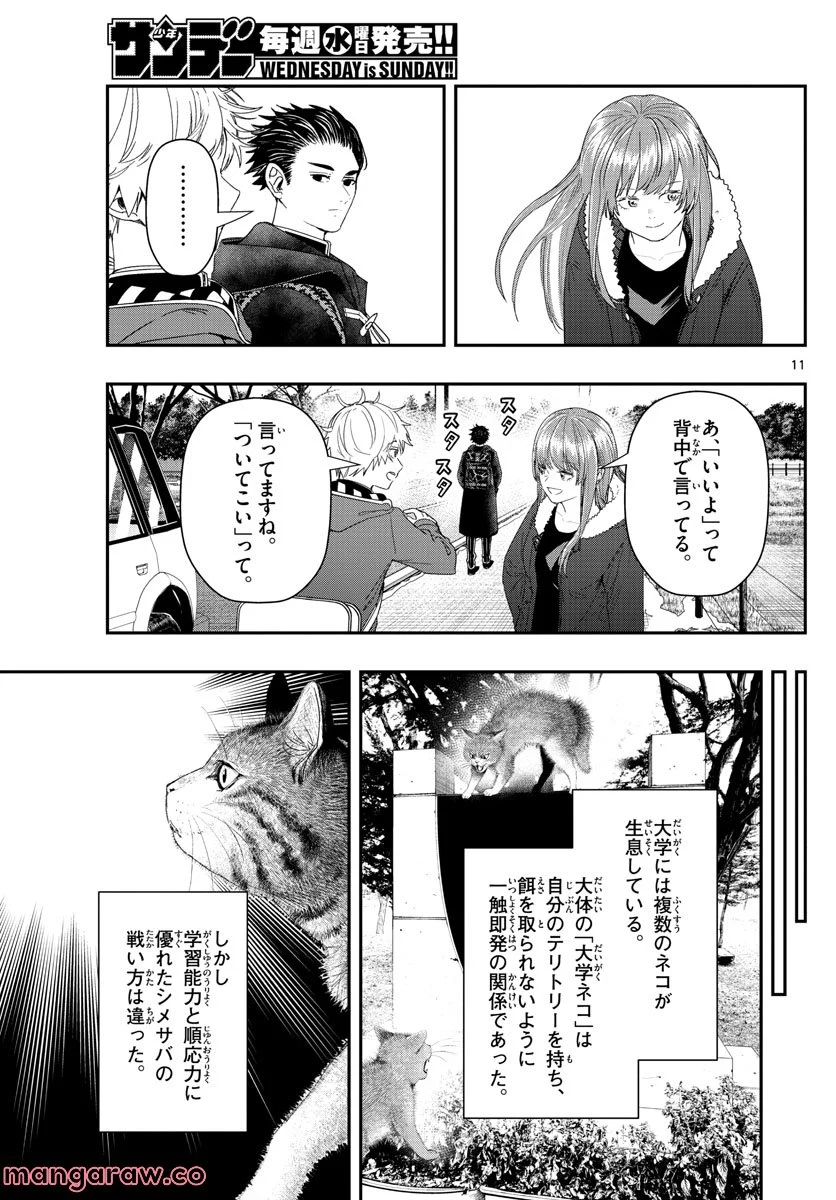 ラストカルテ　―法獣医学者 当麻健匠の記憶― 第35話 - Page 11