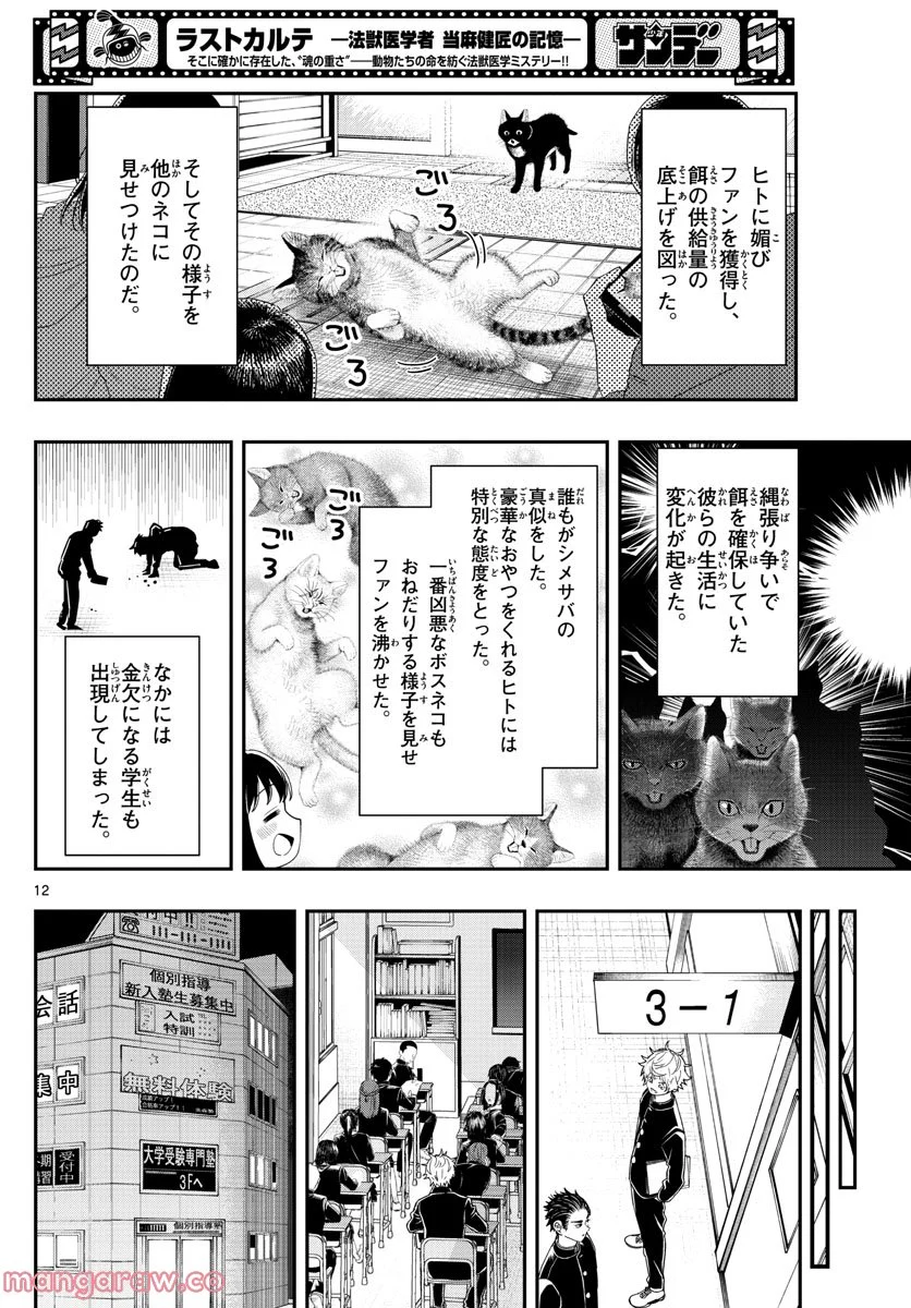 ラストカルテ　―法獣医学者 当麻健匠の記憶― 第35話 - Page 12