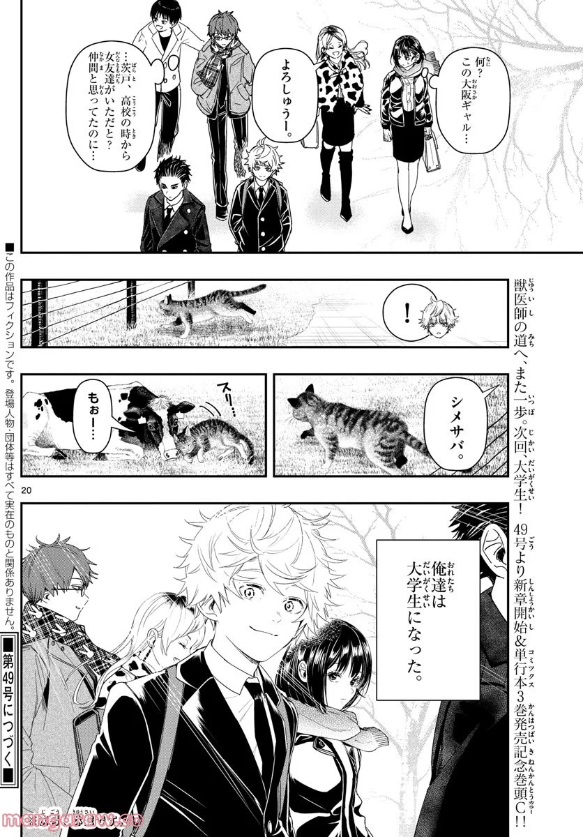 ラストカルテ　―法獣医学者 当麻健匠の記憶― 第35話 - Page 20