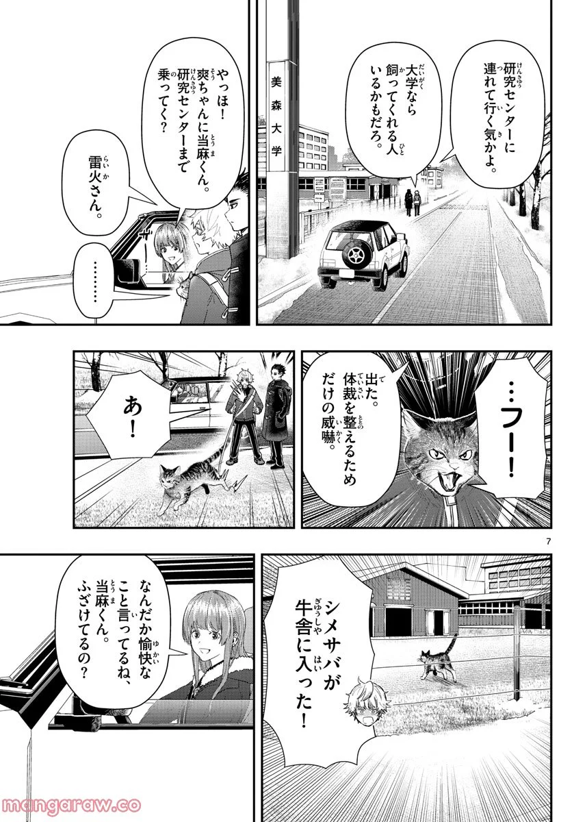 ラストカルテ　―法獣医学者 当麻健匠の記憶― 第35話 - Page 7