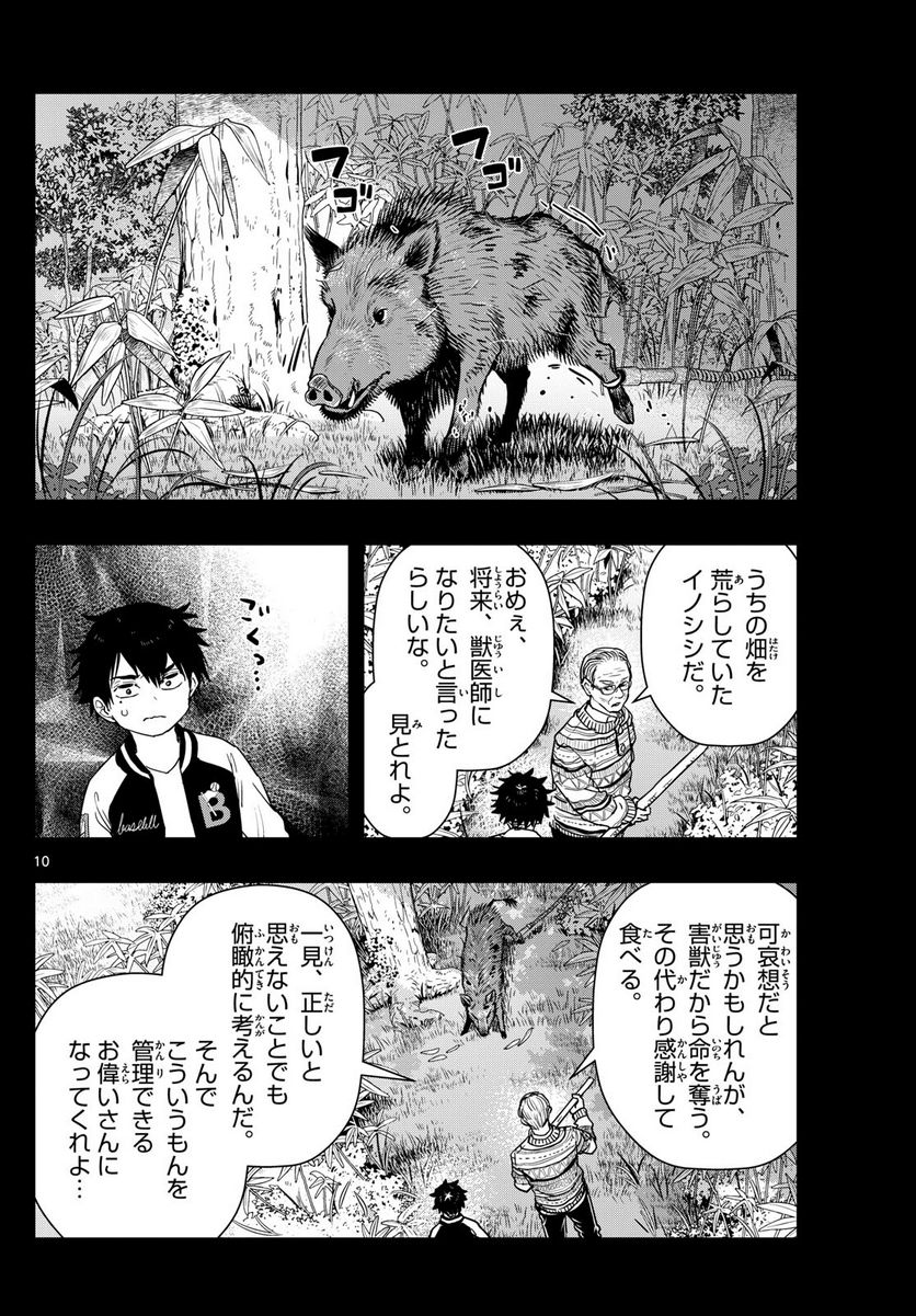 ラストカルテ　―法獣医学者 当麻健匠の記憶― 第70話 - Page 10