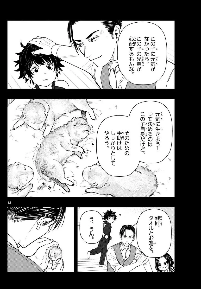 ラストカルテ　―法獣医学者 当麻健匠の記憶― 第67話 - Page 12