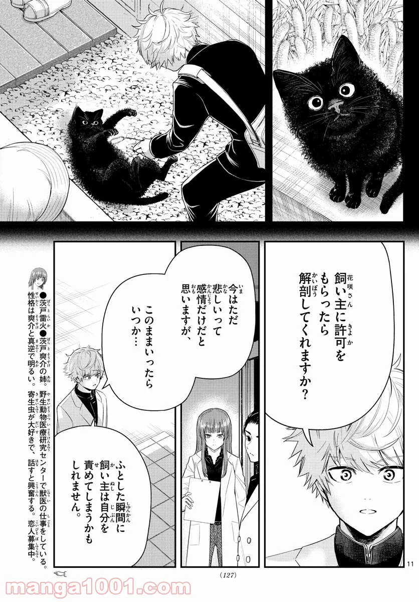 ラストカルテ　―法獣医学者 当麻健匠の記憶― 第5話 - Page 11