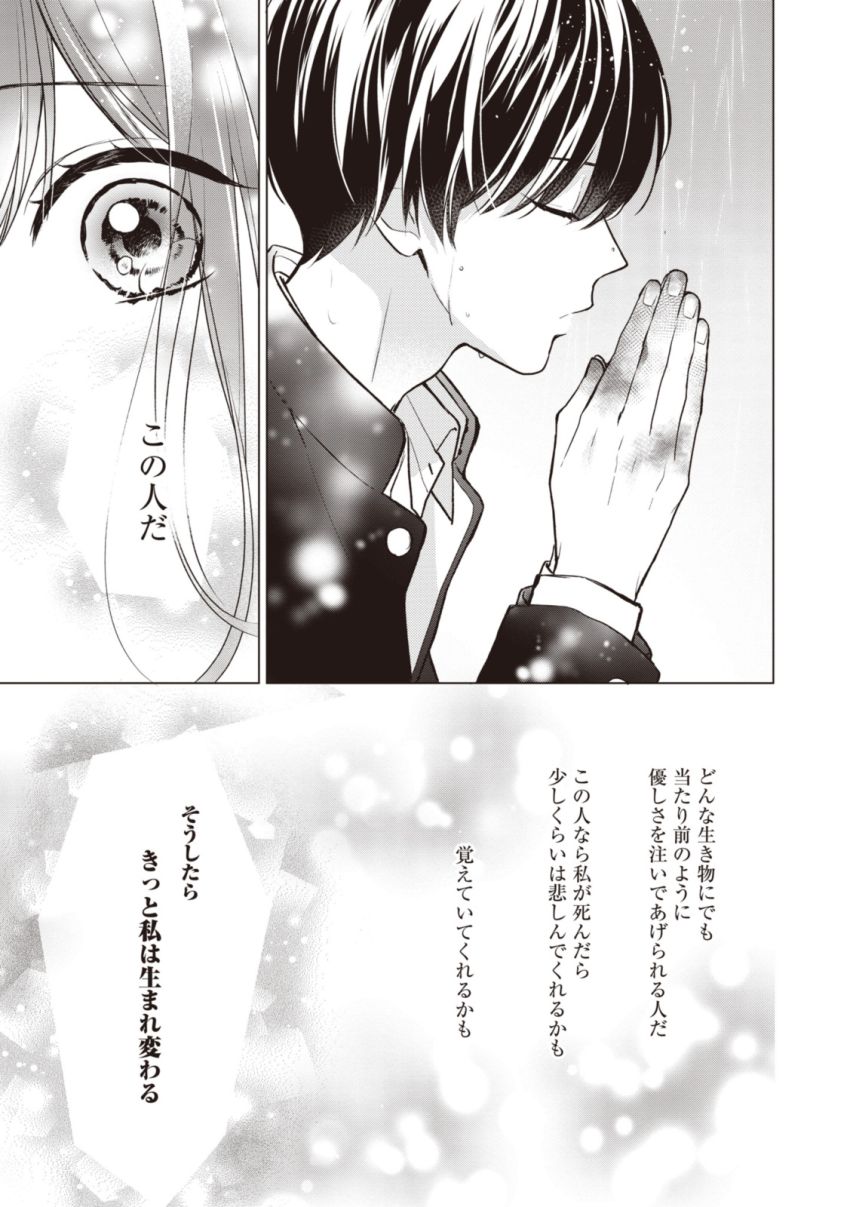 Goodbye Liar Little Mermaid さよなら嘘つき人魚姫 - 第13.1話 - Page 5