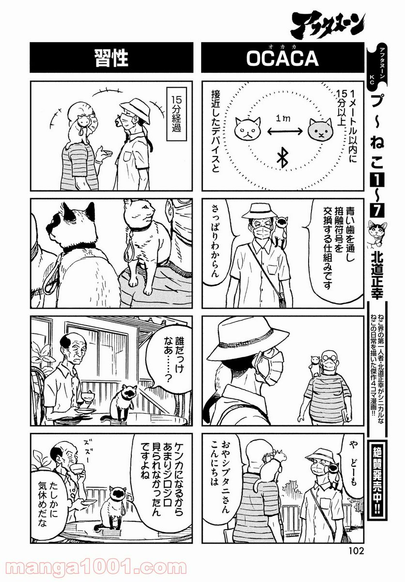 プ～ねこ 第205話 - Page 2