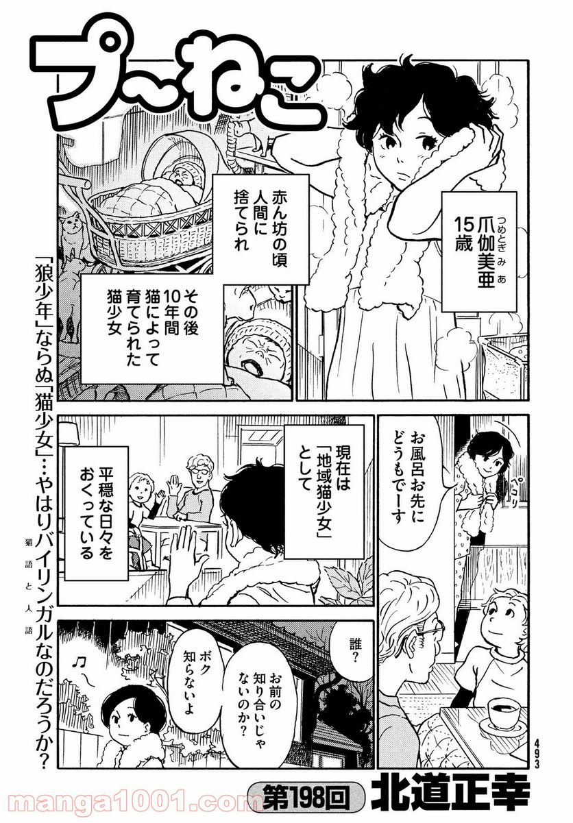 プ～ねこ 第198話 - Page 1