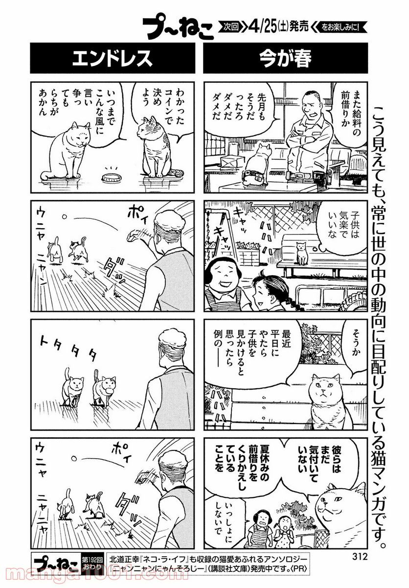 プ～ねこ - 第192話 - Page 4