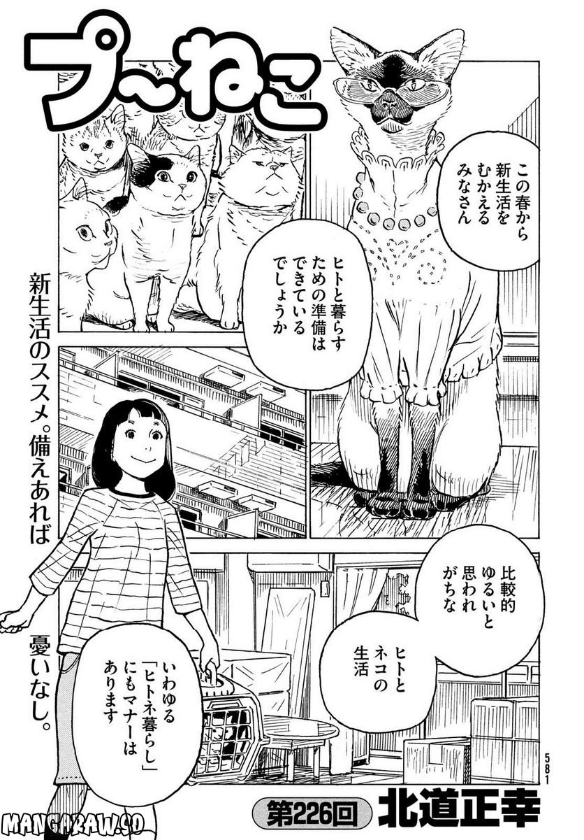 プ～ねこ 第226話 - Page 1