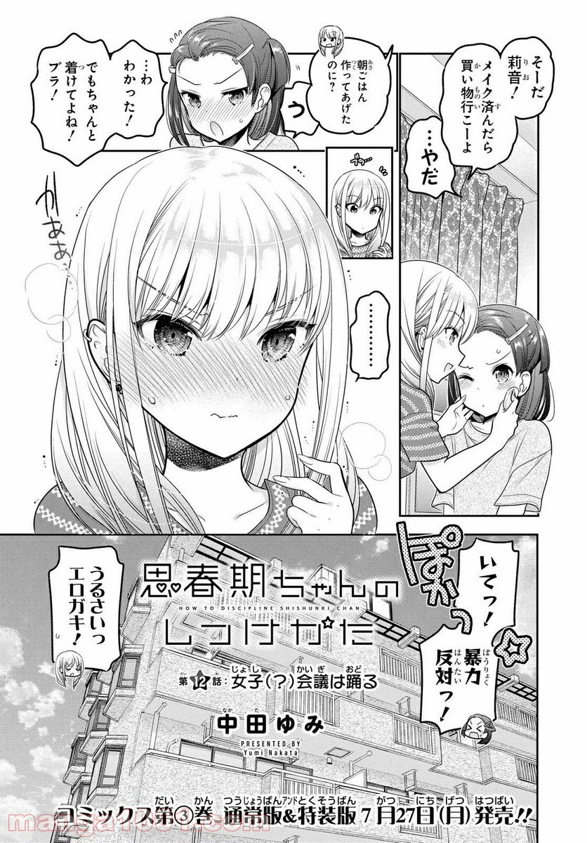 思春期ちゃんのしつけかた - 第12.1話 - Page 3