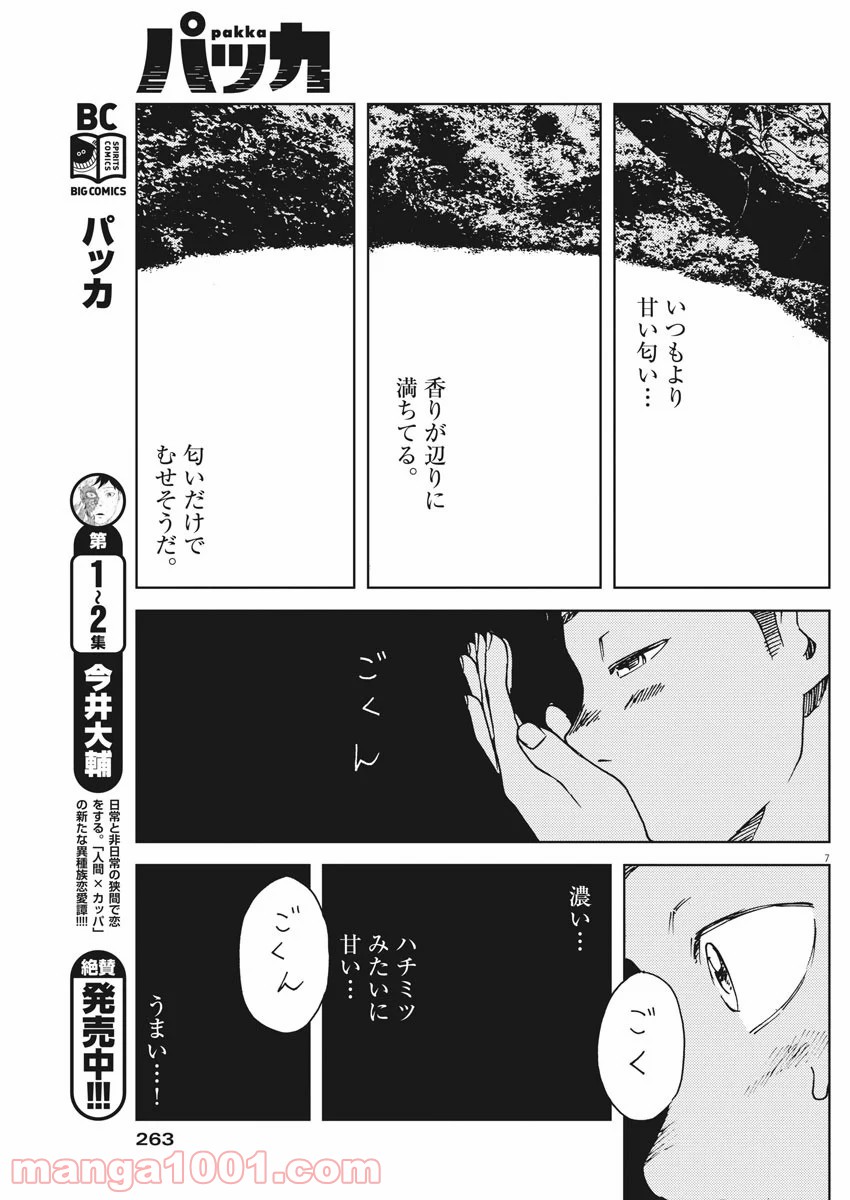 パッカ - 第28話 - Page 7