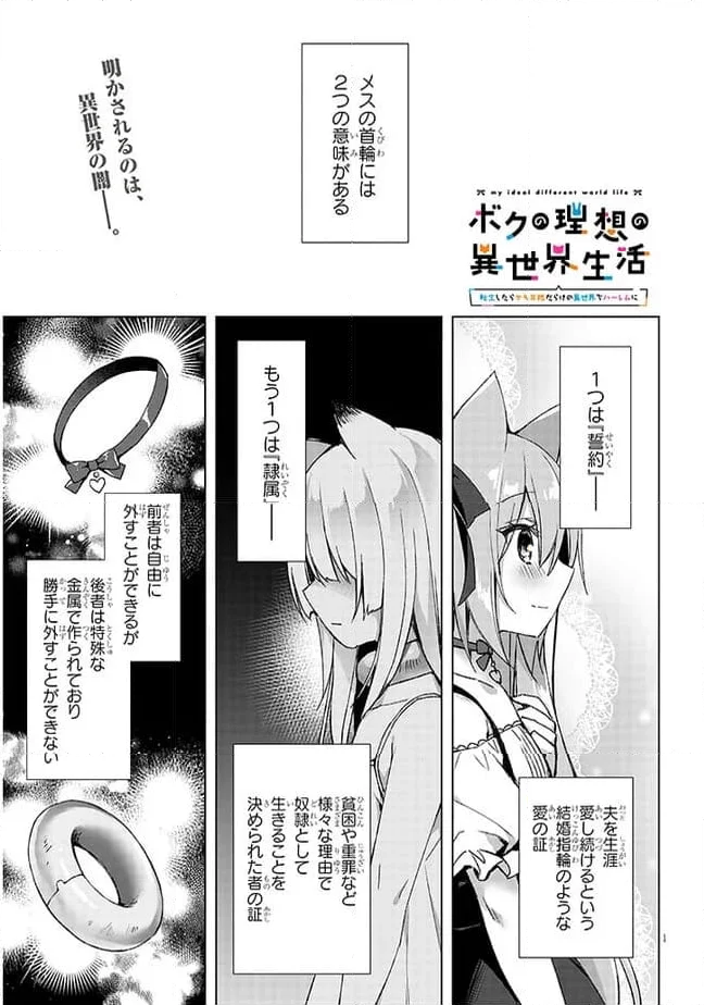 ボクの理想の異世界生活 ～転生したらケモ耳娘だらけの世界でハーレムに～ 第3.1話 - Page 1