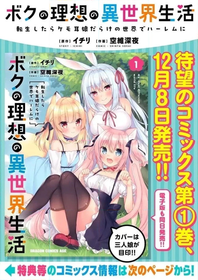 ボクの理想の異世界生活 ～転生したらケモ耳娘だらけの世界でハーレムに～ 第6.2話 - Page 11