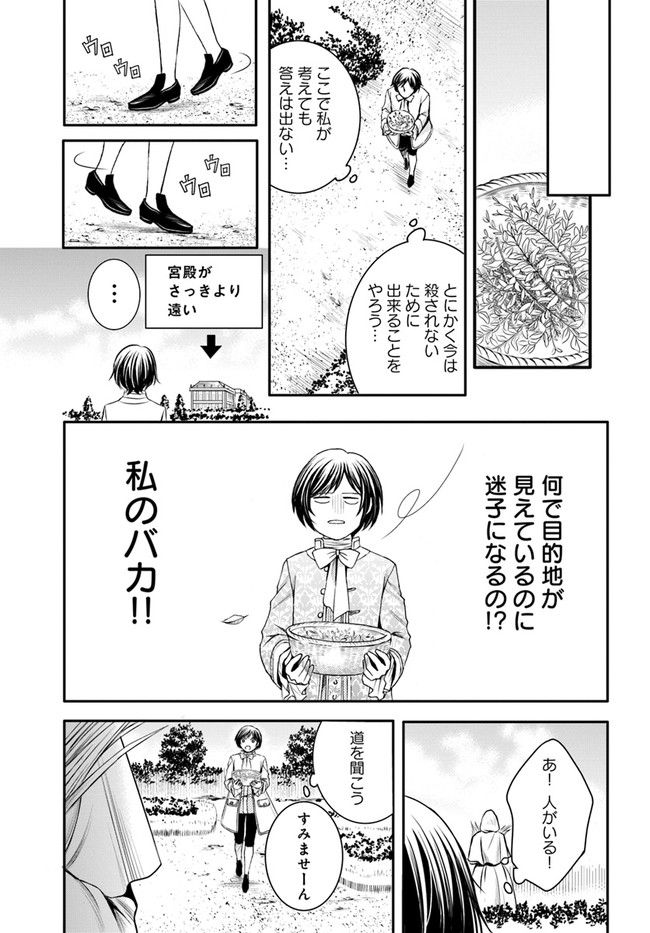 La maquilleuse　～ヴェルサイユの化粧師～ 第13.2話 - Page 3