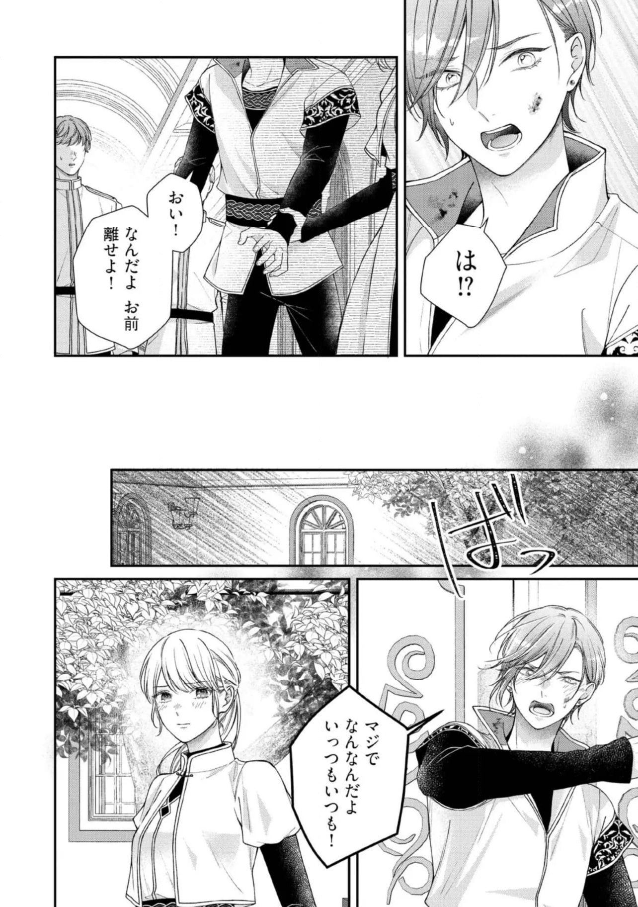 二度目の異世界、少年だった彼は年上騎士になり溺愛してくる 第21.3話 - Page 4