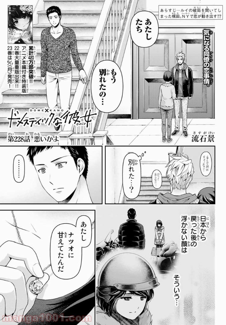 ドメスティックな彼女 第228話 - Page 1