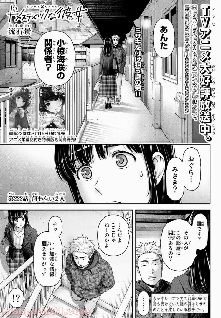 ドメスティックな彼女 第222話 - Page 1