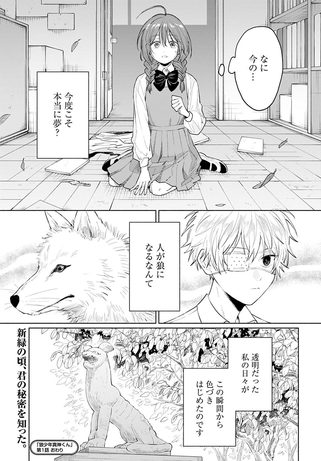 狼少年真神くん 第1話 - Page 33