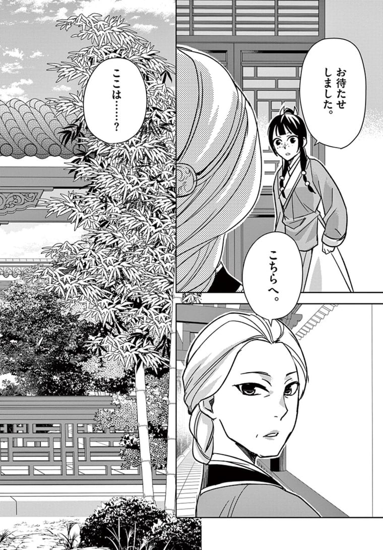 薬屋のひとりごと~猫猫の後宮謎解き手帳~ 第45.1話 - Page 12