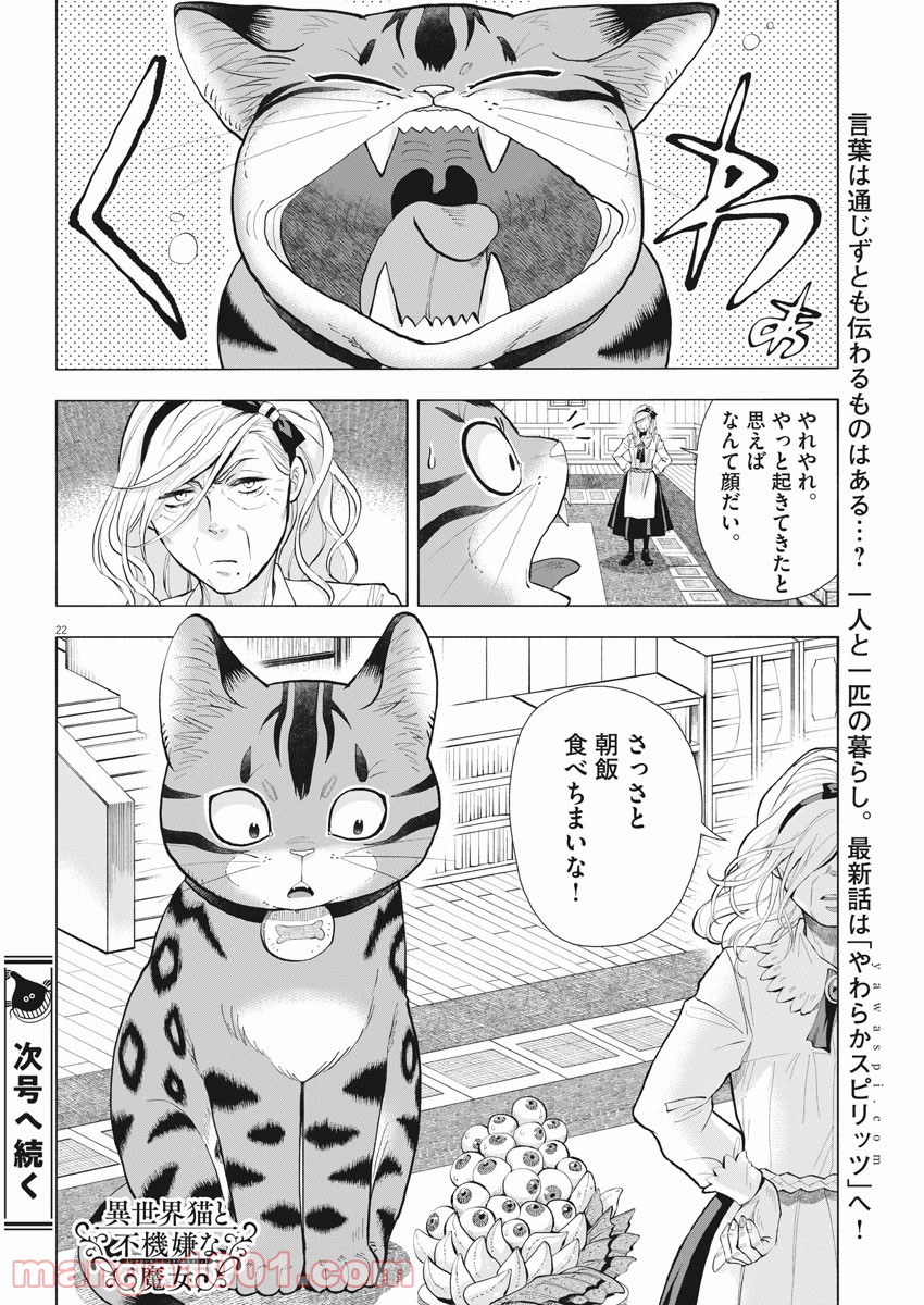 異世界猫と不機嫌な魔女 - 第3話 - Page 22