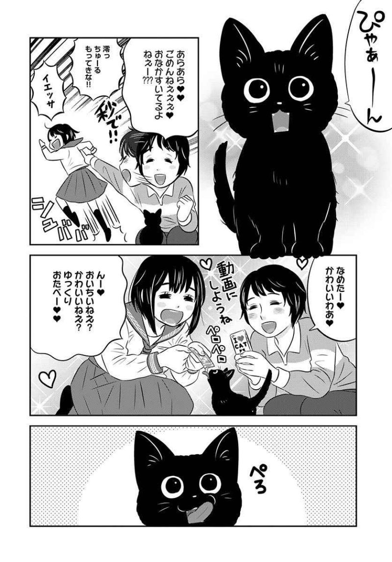 猫しか勝たん。 第2話 - Page 13