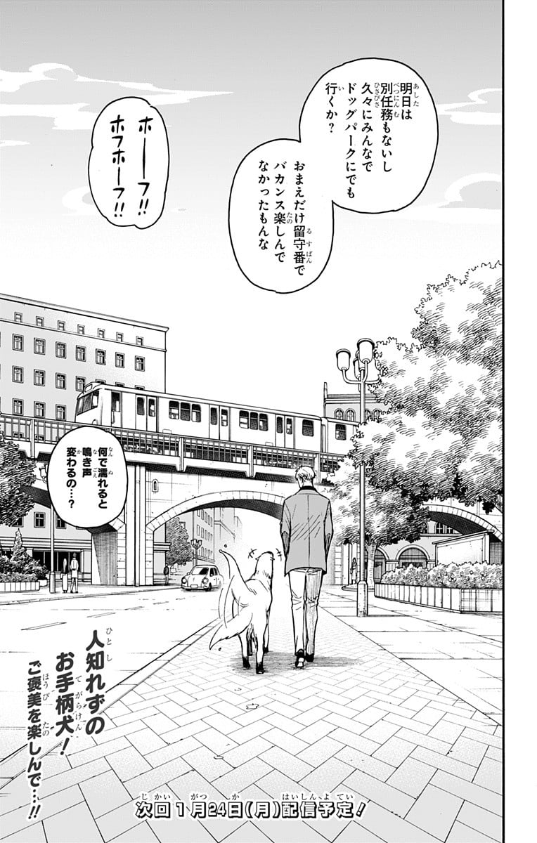 SPY×FAMILY 第58.2話 - Page 17