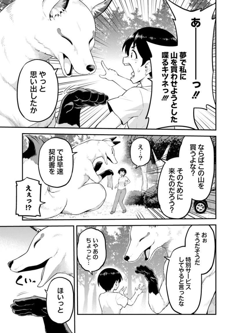 山、買いました 〜異世界暮らしも悪くない〜 - 第1話 - Page 44