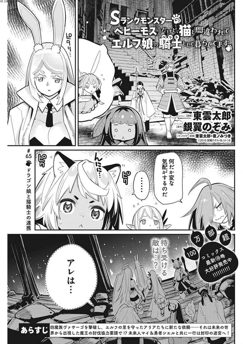 Sランクモンスターの《ベヒーモス》だけど、猫と間違われてエルフ娘の騎士(ペット)として暮らしてます 第65話 - Page 1