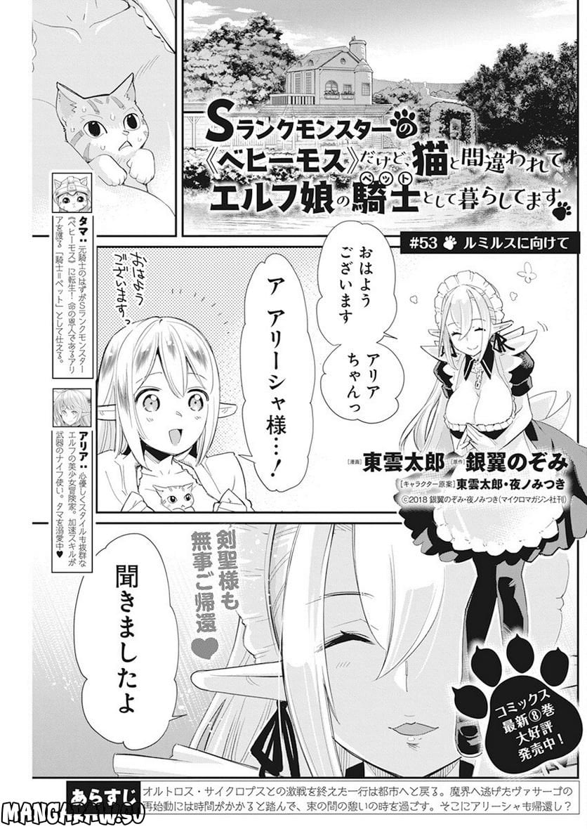 Sランクモンスターの《ベヒーモス》だけど、猫と間違われてエルフ娘の騎士(ペット)として暮らしてます 第53話 - Page 1