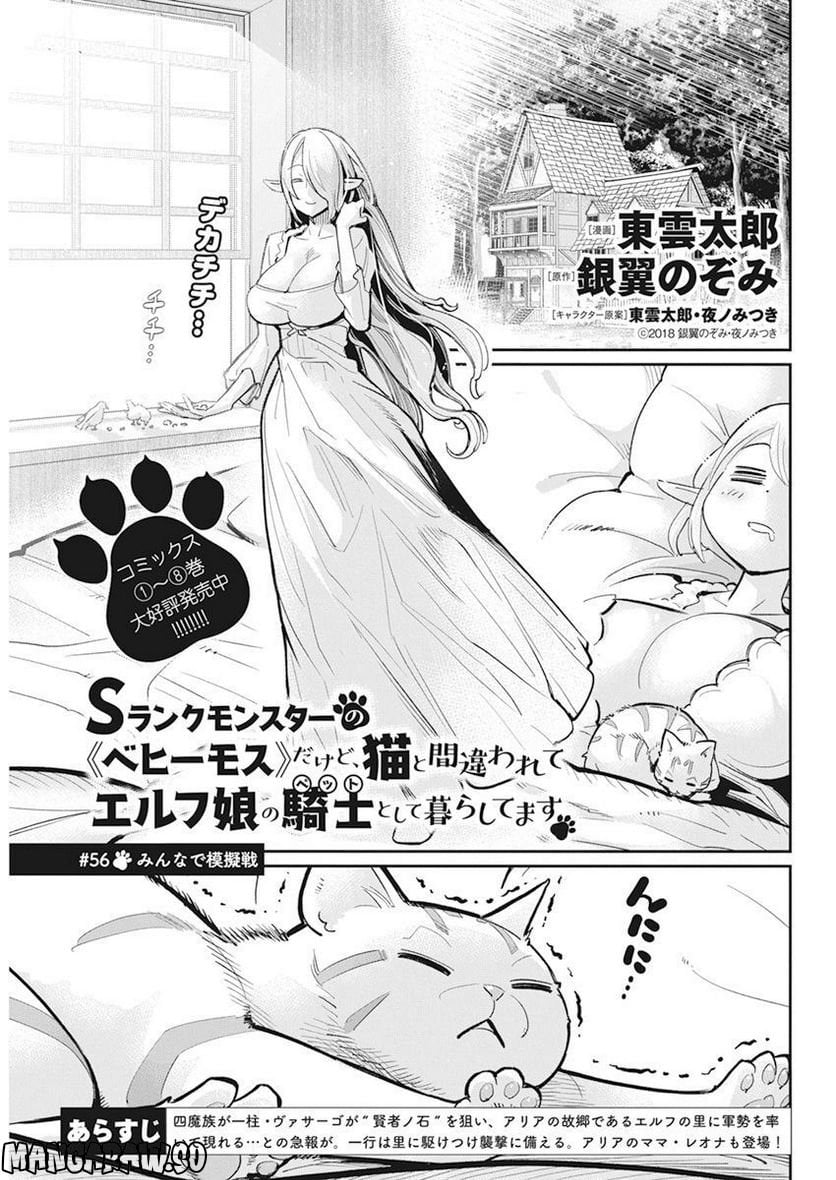 Sランクモンスターの《ベヒーモス》だけど、猫と間違われてエルフ娘の騎士(ペット)として暮らしてます 第56話 - Page 1